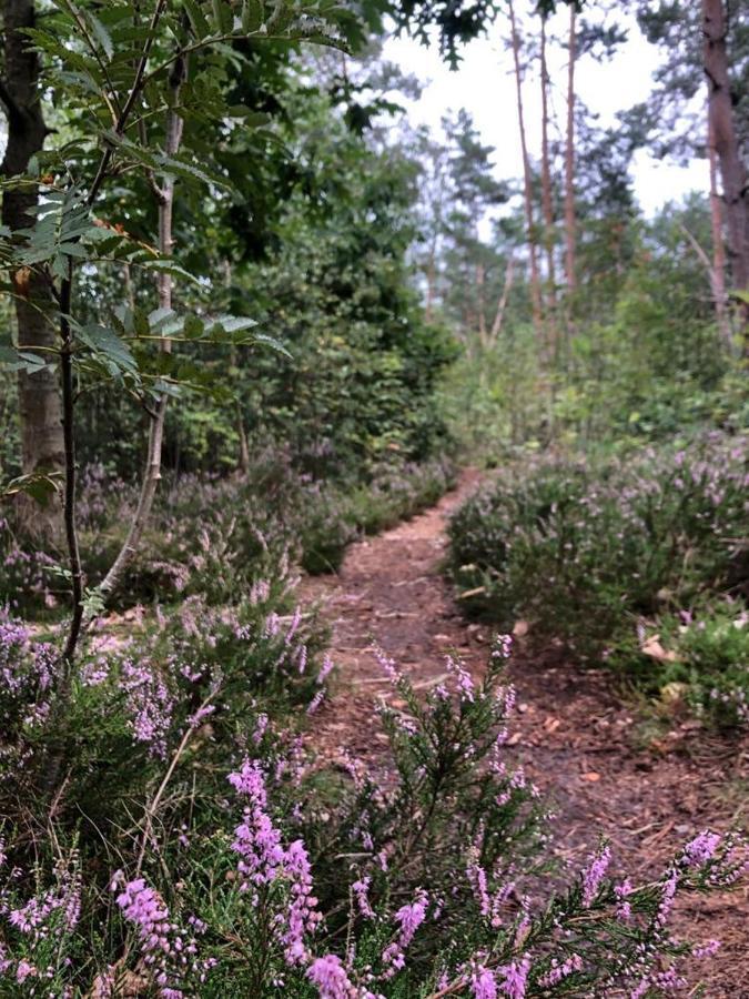 Вилла Vrijstaand Chalet In Bospark Hattemerbroek Экстерьер фото